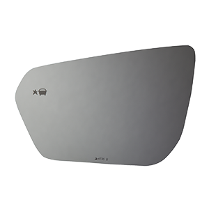 SIDE VIEW MIRROR W BLIND SPOT